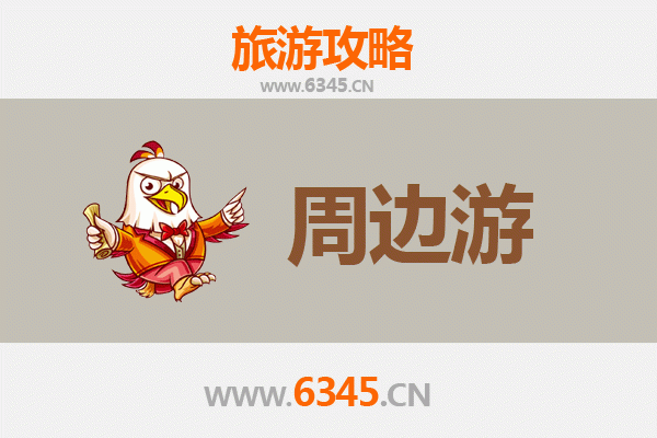 南投鱼池深度游：日月潭畔的秘境探索与美食之旅
